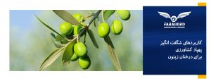 کاربردهای شگفت انگیز پهپاد کشاورزی برای درختان زیتون